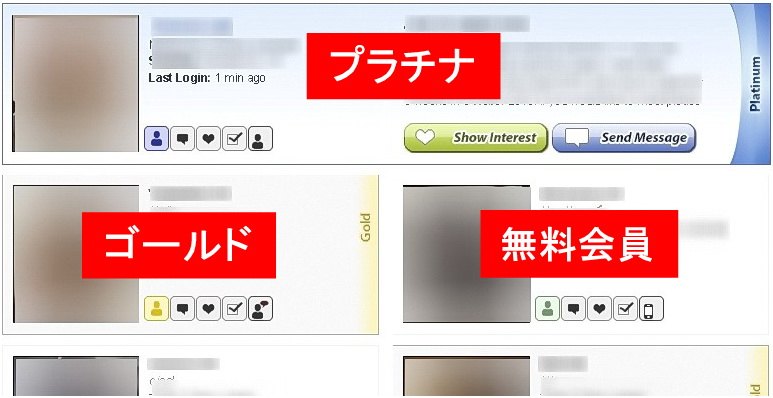 プラチナ、ゴールド、レギュラー会員のプロフィール表示の違い