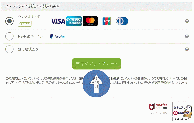 次は支払い方法の選択ですが、クレジットカードか、ペイパルが便利です。