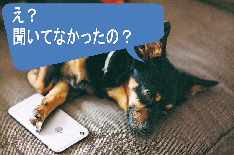 ちょ、聞いてないのかよ？メール